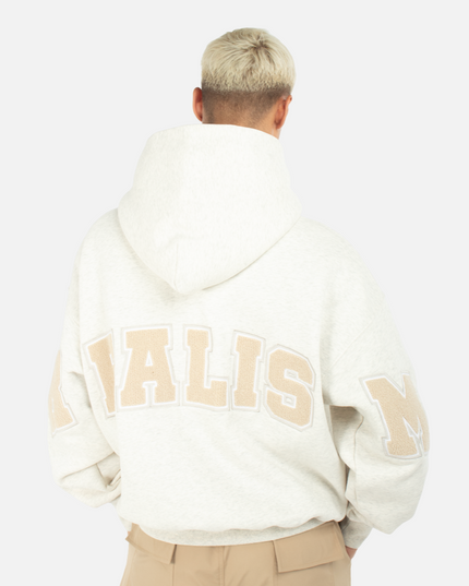 COLLEGE TEAM HOODIE OATMEAL