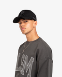 DOVE LOGO SUEDE CAP